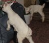 DSC02404.jpg