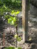 DSCN2849.jpg