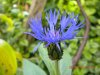 DSCN2850.jpg