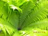 DSCN2859.jpg