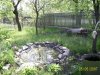 PIC_0022.jpg
