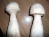 DSCF9352.JPG