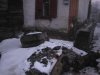 IMG_3502.JPG