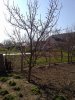 18042011709_thumb.jpg