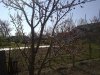 18042011710_thumb.jpg