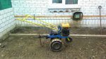 IMG_20160313_121458.jpg