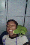 442.gif