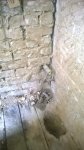 WP_20160315_10_39_05_Pro.jpg