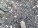 IMG_20160318_102923.jpg