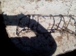 IMG_20160318_102959.jpg