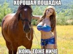 7905503.jpg