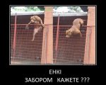 0_be6b4_adab5c41_orig.jpg