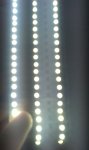 IMAG0141.jpg