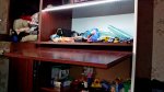 2016-03-20 12-02-29.JPG