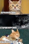ccTwcYPmbI_2076299_21178075.jpg