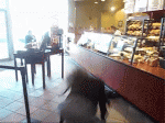 52822-a10235996c0c7485ceb7824b708d6b40.gif