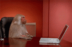 1454086962-be884abd77d3859ba2534e85ee95d33e.gif