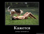 1349972801_44241567_kazhetsya.thumb.png.2279d8fb697f7abe51c59f324709979f.png