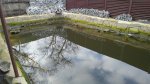 IMG_20160311_142602.jpg