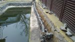 IMG_20160323_120223.jpg