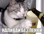 9136493.jpg