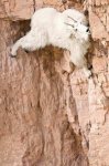 mission_impossible10.jpg