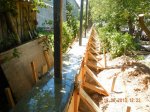 DSCN7164.JPG