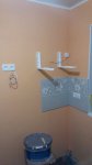 IMG_20160329_202305.jpg