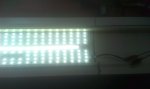 IMAG0272.jpg