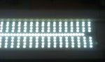 IMAG0273.jpg