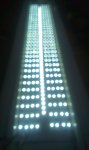 IMAG0274.jpg