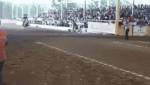 1457947270-16d327a3692e26cf68ec9e30c9564897.gif