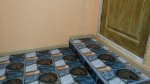 IMG_20160331_194152.jpg