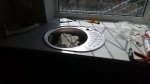 IMG_20160404_142745.jpg