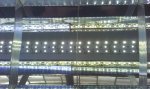 IMAG0319.jpg