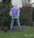 1459091261-bb26d7119453541511eb1e7f780cd688.gif