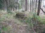 DSCF1093.JPG