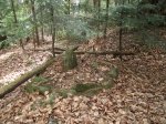 DSCF1051.JPG