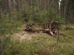 DSCF1063.JPG