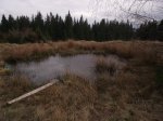 DSCF1084.JPG
