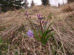 DSCF1087.JPG