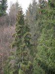 DSCF1053.JPG