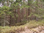 DSCF1061.JPG