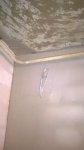 WP_20160410_17_05_44_Pro.jpg