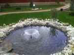 Фото-0017.jpg