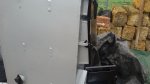 20160414_072450.jpg