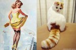 pinupcats04.jpg