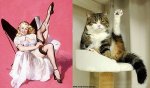 pinupcats07.jpg
