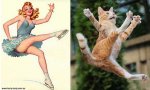 pinupcats08.jpg