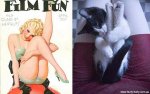 pinupcats12.jpg